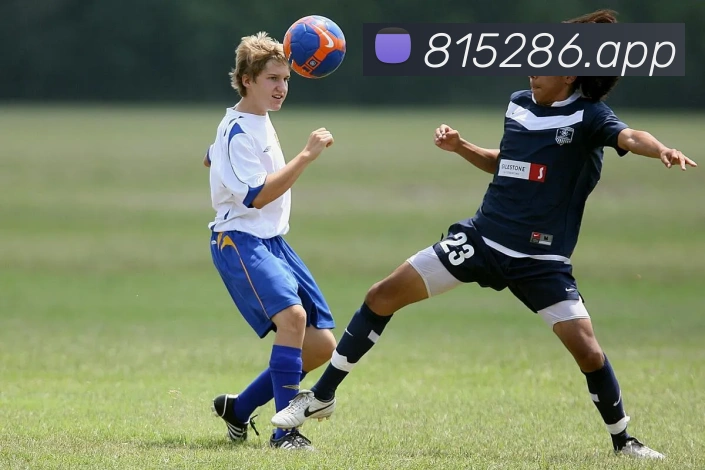 对战数据统计